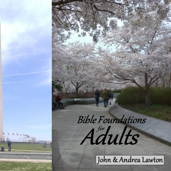 Bible Foundations for Adults